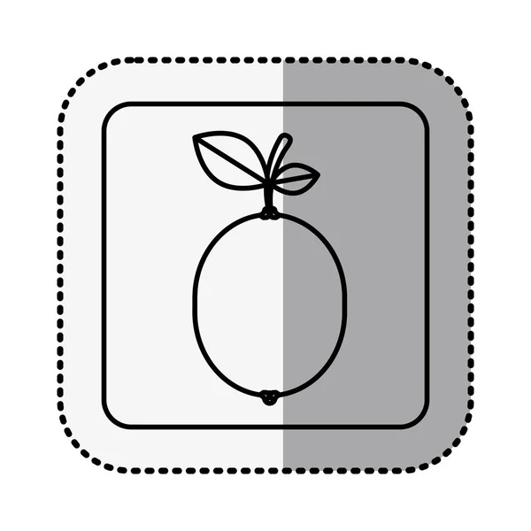 Monochrome square contour with middle shadow sticker with lemon — Stock Vector