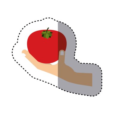 domates sebze tutan el renkli etiket