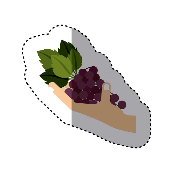 Kleurrijke sticker van hand hebt grape fruit — Stockvector