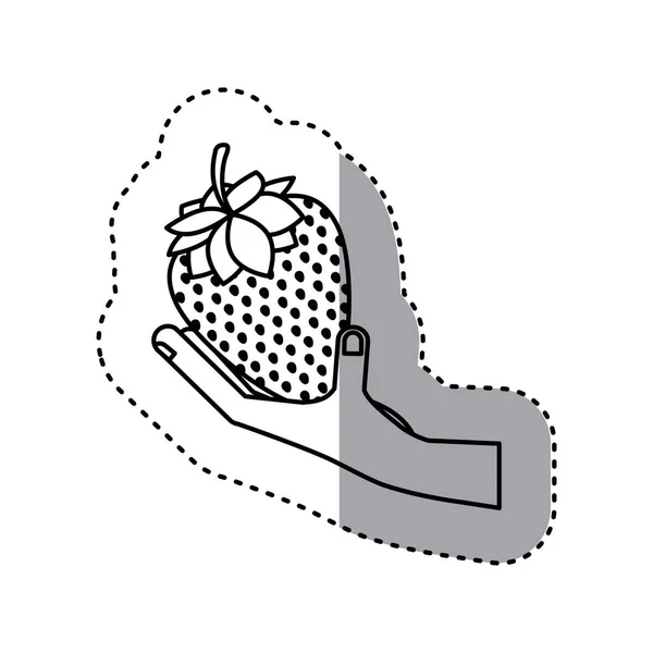 Naklejka kontur ręki trzymającej owoce truskawki — Wektor stockowy