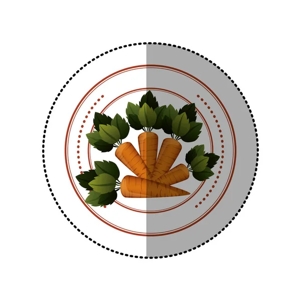 Etiqueta colorida de forma circular com cenoura vegetal —  Vetores de Stock
