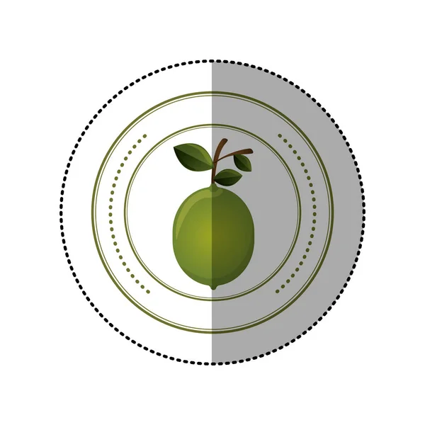 Pegatina colorida de forma circular con fruta de limón — Vector de stock