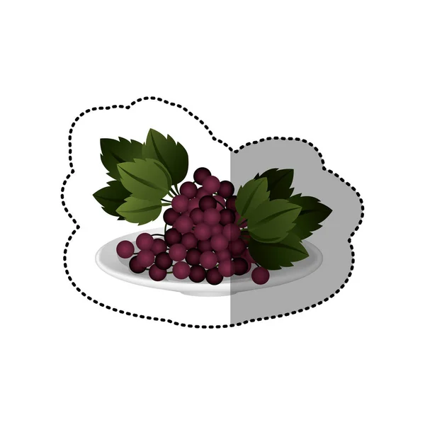 Pegatina colorida de la colección de la fruta de las uvas — Vector de stock