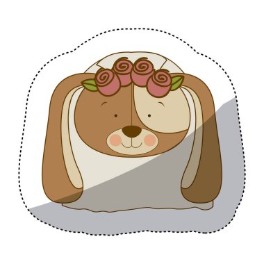 etiket renkli ve yarı gölge gelin köpek yüzü ile