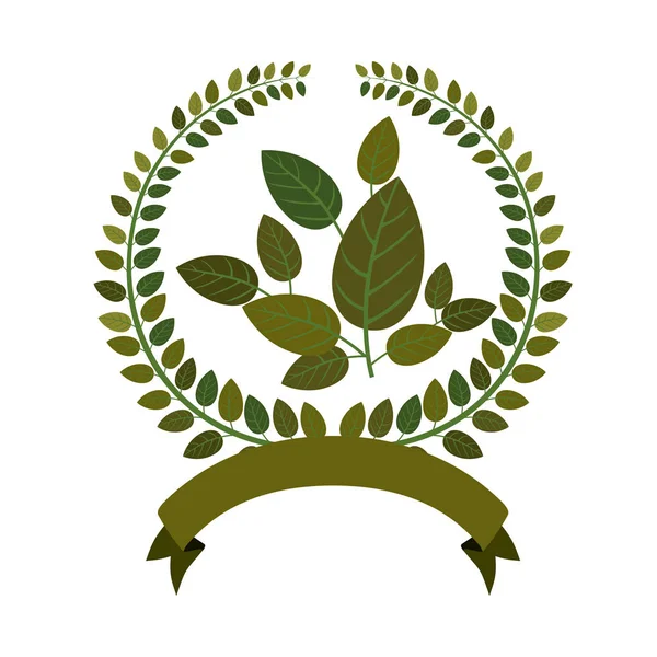 自然の葉の生態 — ストックベクタ