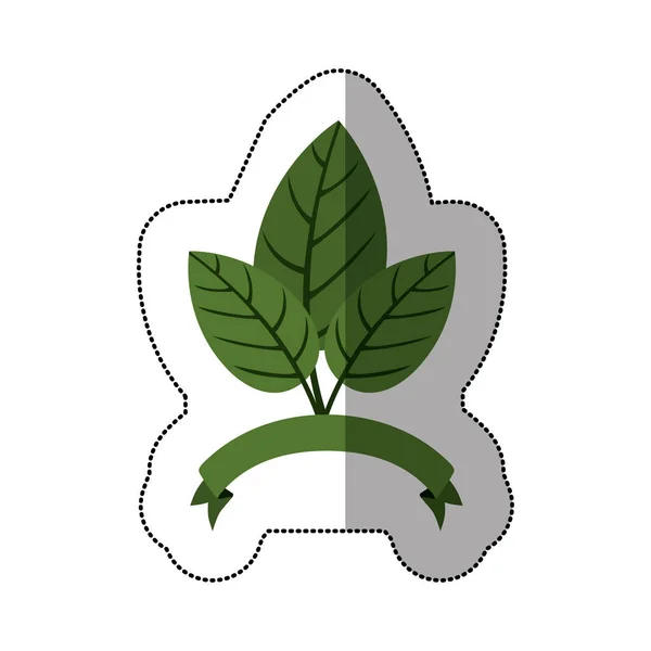 자연 잎 생태 — 스톡 벡터