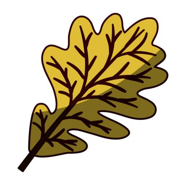 siluet kahverengi renk ile kurutulmuş yaprakları meşe orta gölge