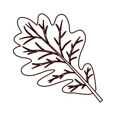 kurutulmuş yaprakları meşe tek renkli siluet