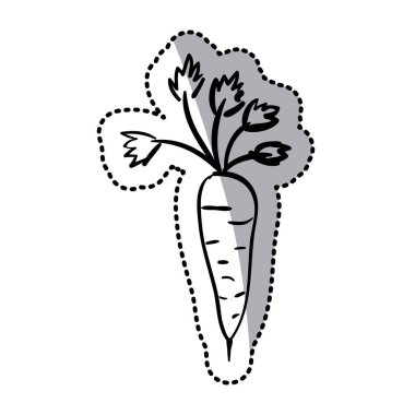 etiket siluet havuç sebze düz simgesi