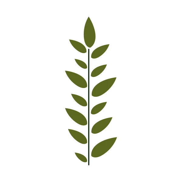 Feuille avec branche avec feuilles centrées verticalement — Image vectorielle