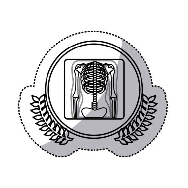 x-ışını daire zeytin şubeler ile kemik ile tek renkli etiket