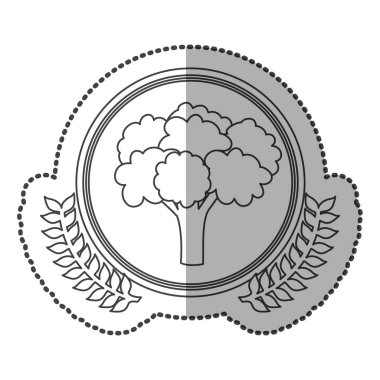 Orta gölge etiket tek renkli daire içinde brokoli ile zeytin taç ile