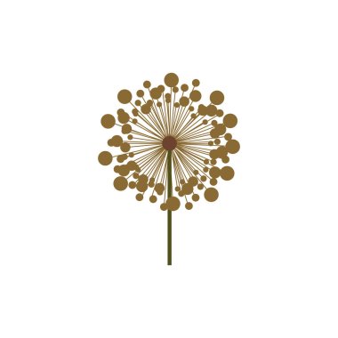 renkli karahindiba kök ve pistil ile