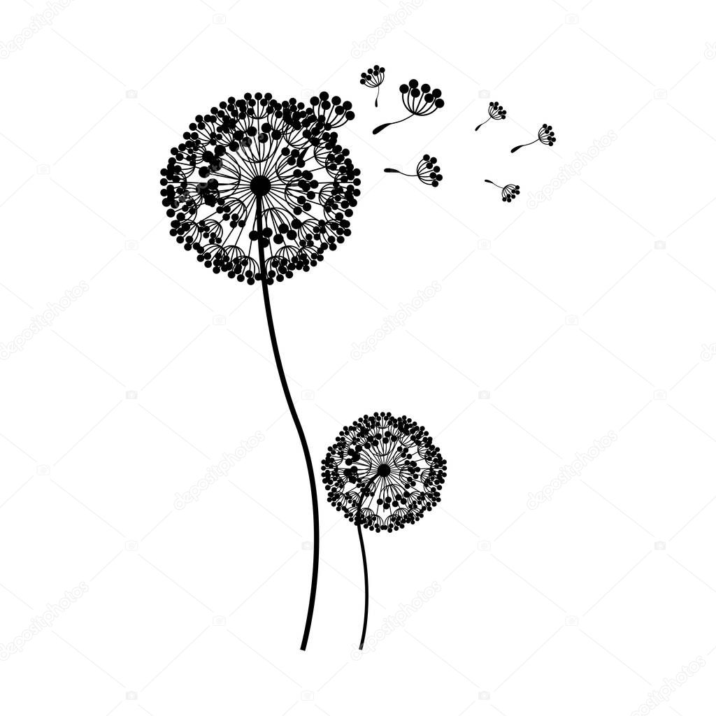 silhouette couple dandelion and fly petals