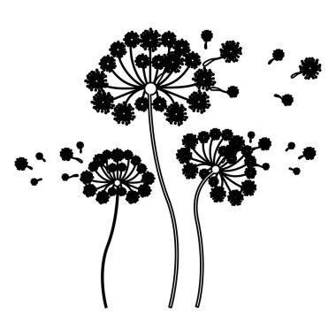 siyah siluet koleksiyonu karahindiba ayarla ve yaprakları sinek