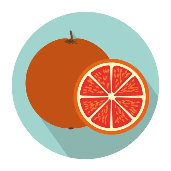 Forma circular colorida com fruta laranja e fatia com sombreamento —  Vetores de Stock