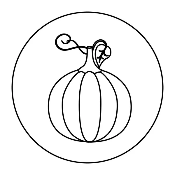 Silueta forma circular con calabaza vegetal — Archivo Imágenes Vectoriales