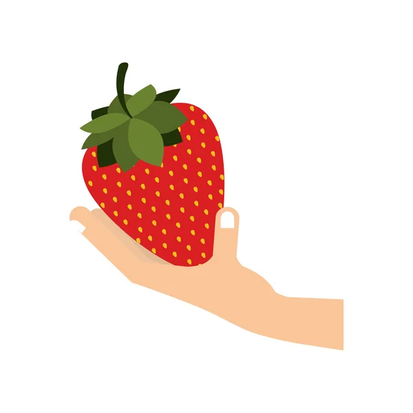 手带水果 — 图库矢量图片