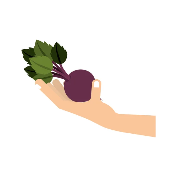 Χέρι με φρούτα — Διανυσματικό Αρχείο