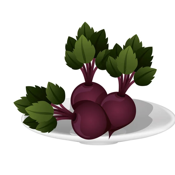 Gemüse aus frischen Rüben — Stockvektor