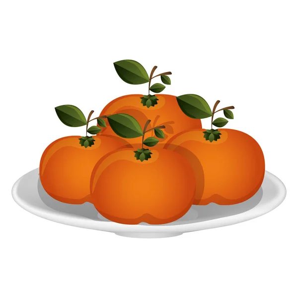 Delicious oranges fruits — Stock Vector