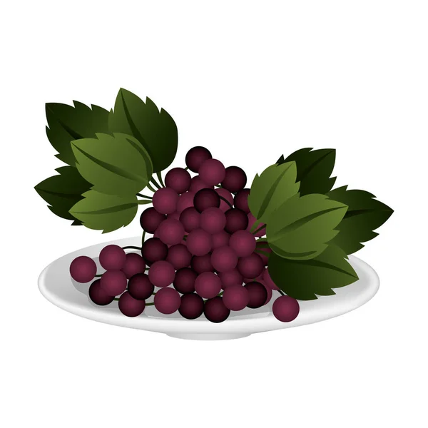 Deliciosos frutos de uvas — Vetor de Stock