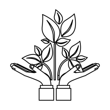 Yeşil yaprakları düşünüyorum