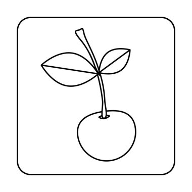 Lezzetli kiraz meyve