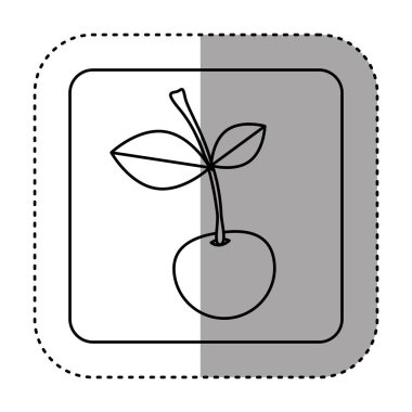 Lezzetli kiraz meyve