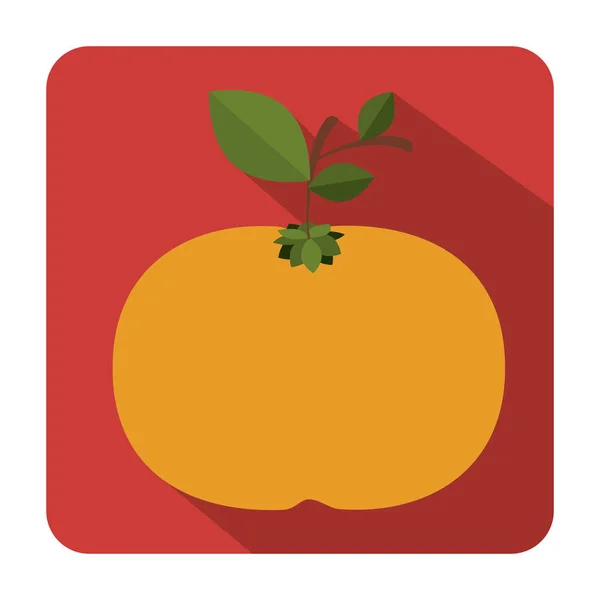 Lezzetli turuncu meyve — Stok Vektör