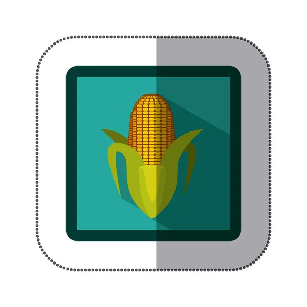 Etiqueta engomada cuadrado colorido con maíz — Vector de stock