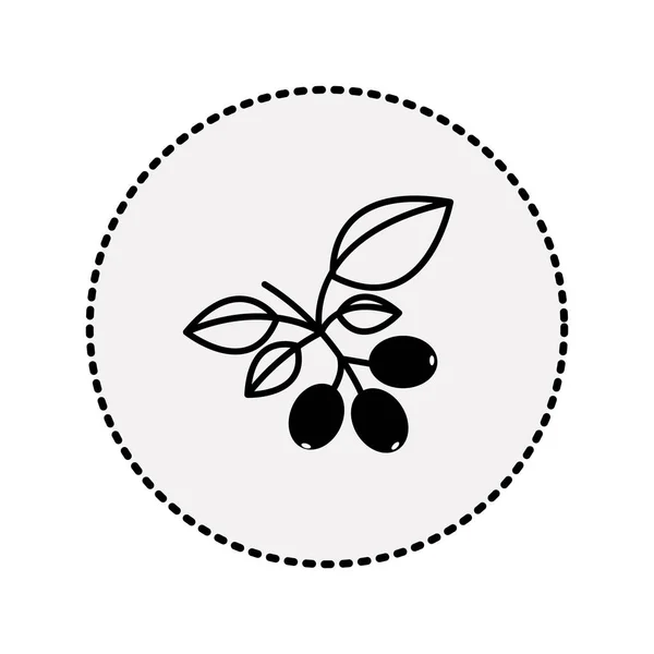 Circulaire sticker silhouet koffie boomtak met bladeren — Stockvector