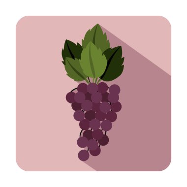 Lezzetli üzüm meyve