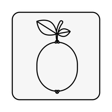 lezzetli turuncu meyve