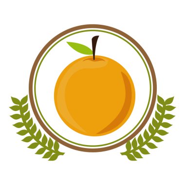 lezzetli turuncu meyve