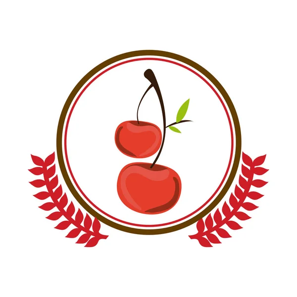 Deliziose ciliegie frutta — Vettoriale Stock