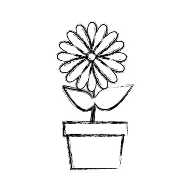 tencerede bulanık siluet Ayçiçek