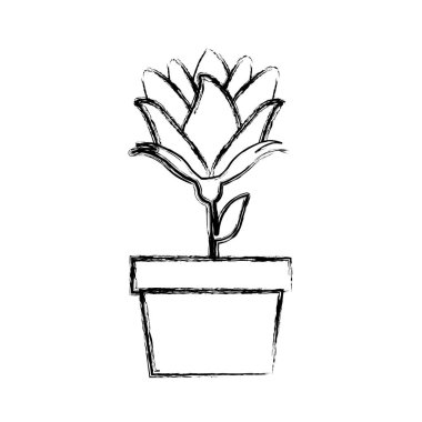 siluet bud çiçek tencerede bulanık