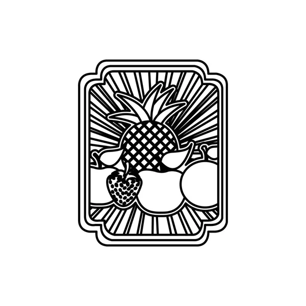 Marco heráldico decorativo rectángulo de contorno rayado con frutos de naturaleza muerta — Vector de stock