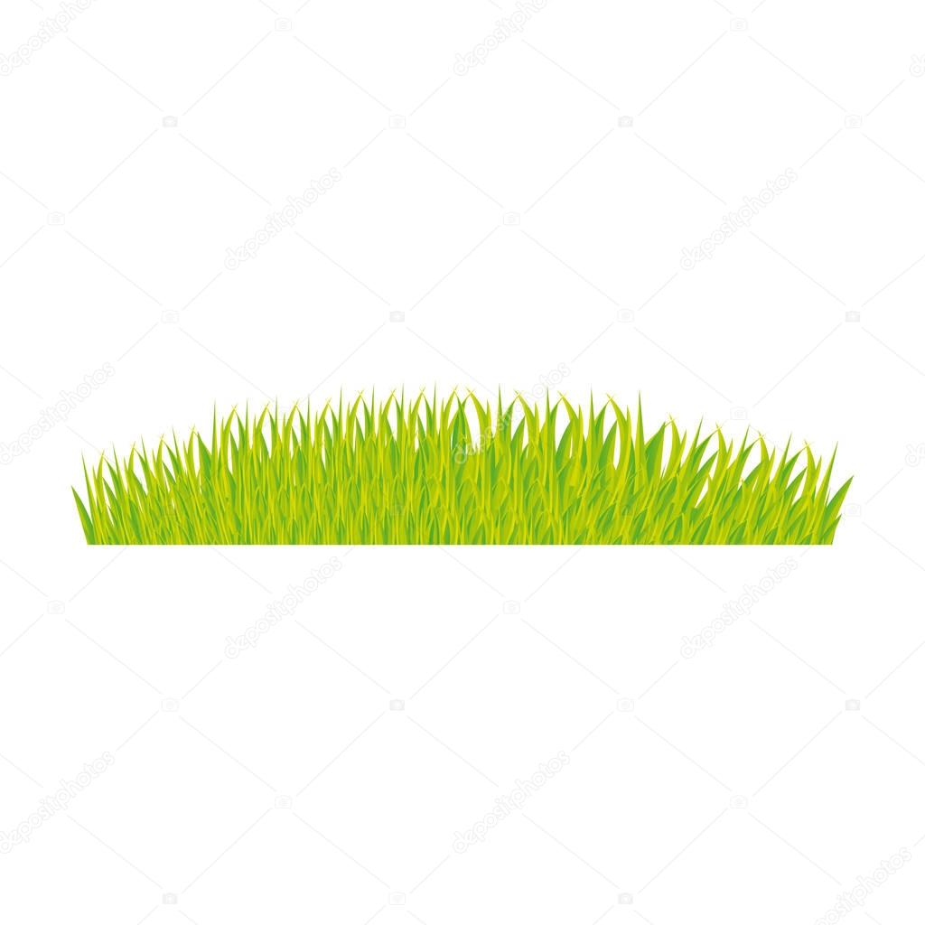 color background with green grass