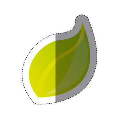 renk etiket siluet yeşil yaprak