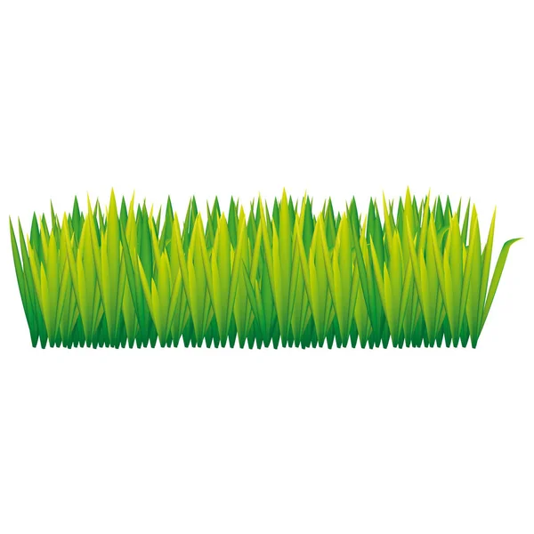 Ikona zelené vysoké trávy — Stockový vektor