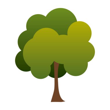 renkli yeşil ağaç bitki çevre doğa