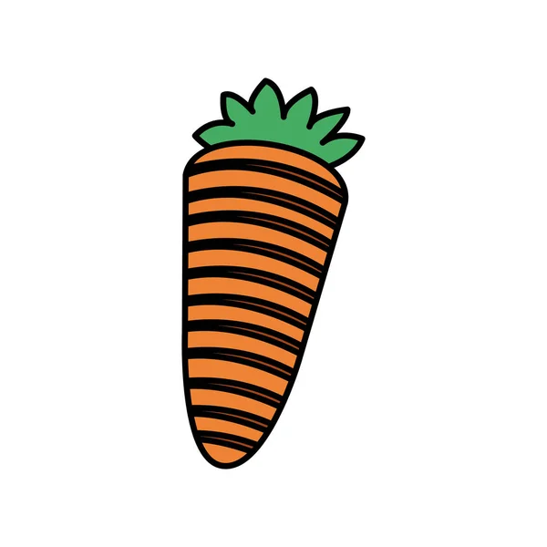 Colorido icono de zanahoria vegetal — Vector de stock