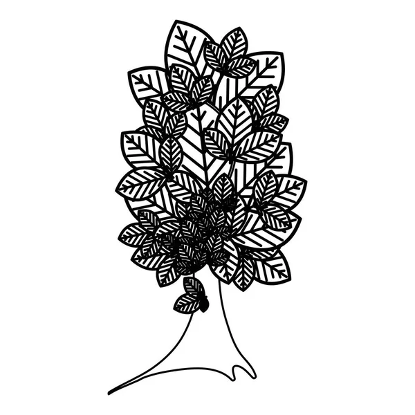 Croquis silhouette arbre plante avec plusieurs feuilles — Image vectorielle