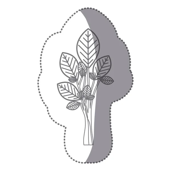 Наклейка сірого кольору раміновані з овальним листям значок рослини — стоковий вектор