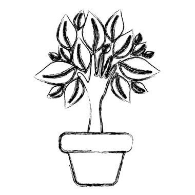 siluet bulanık hurma ile tencerede el şeklinde gövde