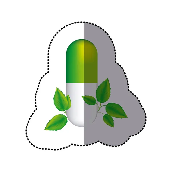 Autocollant pilule verte médicale en forme de capsule avec des feuilles décoratives — Image vectorielle