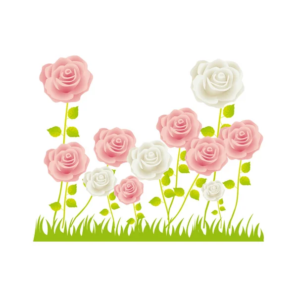 Arbusto de rosa colorido em design floral de pastagem — Vetor de Stock