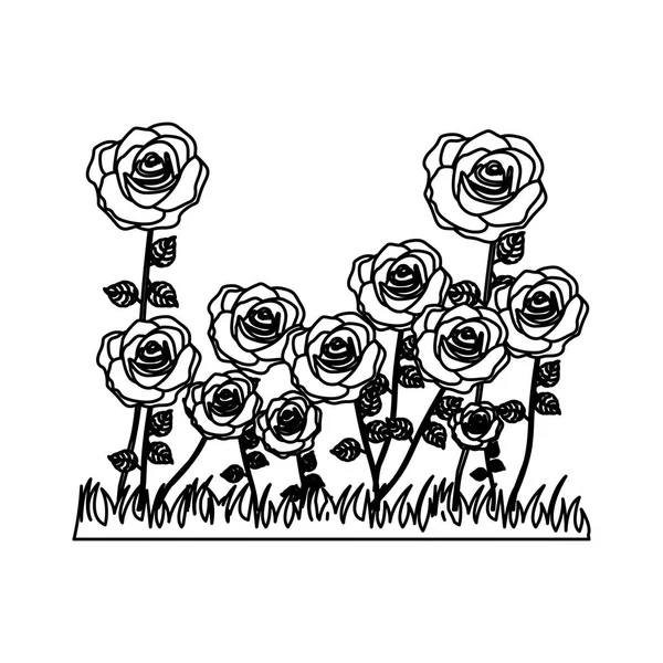 Sziluettjét rózsabokor legelő virág rajzolatú — Stock Vector